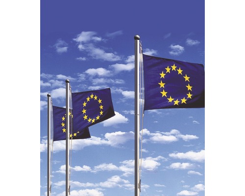 Mehrere Europaflaggen vor einem Himmel
