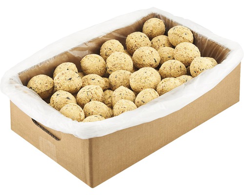 Karton mit Meisenknödeln als Vogelfutter