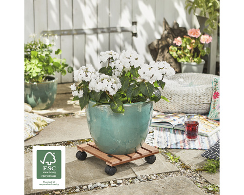 Blumenwagen aus Holz mit Rädern und Blumentopf im Außenbereich