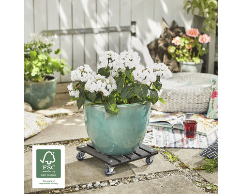 Blumenkübel mit Pflanze auf Pflanzenroller im Außenbereich mit FSC Siegel