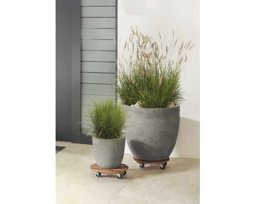 Zwei bepflanzte Pflanzgefäße aus Beton auf Rollwagen aus Holz im Außenbereich.