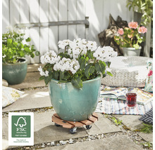 Szene mit Pflanztopf auf Rollbrett mit FSC-Siegel im Garten.