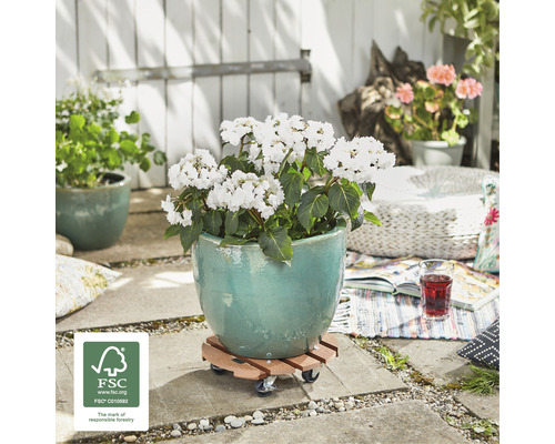 Szene mit Pflanztopf auf Rollbrett mit FSC-Siegel im Garten.