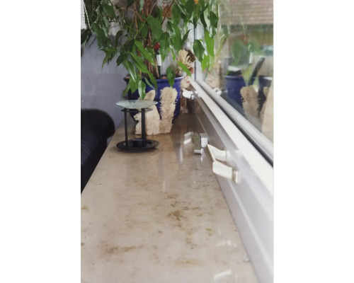 Innenraum mit Zimmerpflanze im Topf und Fenster