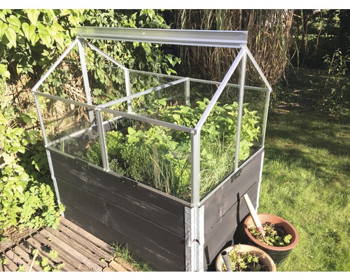 Mini-Gewächshaus mit Holzrahmen und Pflanzen im Garten