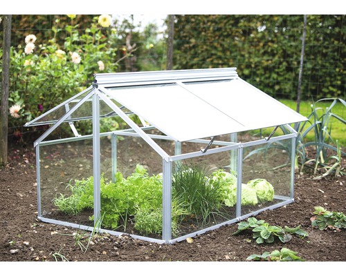 Frühbeet Vitavia Gaia Jumbo Einscheibensicherheitsglas 119,3 x 83,1 x 71,9 cm Gewächshaus mit Aluminiumrahmen und Pflanzen im Garten