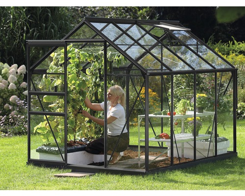 Gewächshaus Vitavia Venus 5000 Einscheibensicherheitsglas 3 mm 195x257 cm schwarz Gewächshaus mit Pflanzen und einer Frau, die im Garten arbeitet.