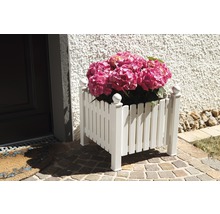 Blumenkasten aus Kunststoff mit pinkfarbener Hortensie