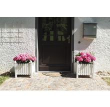 Eingangsbereich mit Haustür, Briefkasten und zwei Blumenkübeln mit rosa Hortensien