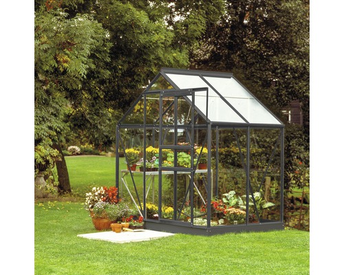 Gewächshaus Vitavia Venus 2500 Einscheibensicherheitsglas 3 mm 195x131 cm schwarz Gewächshaus im Garten mit Pflanzen