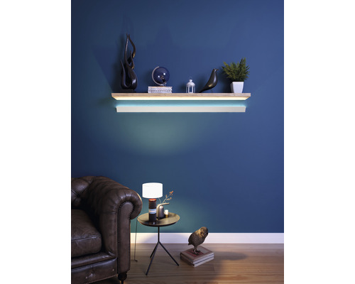 Wohnzimmer mit beleuchtetem Wandregal, Dekorationsobjekten, Lampe, Beistelltisch und Ledersofa