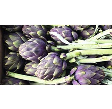 Nahaufnahme von Artischocken mit Stiel