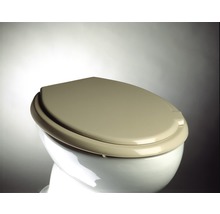 WC-Deckel auf einer Toilette