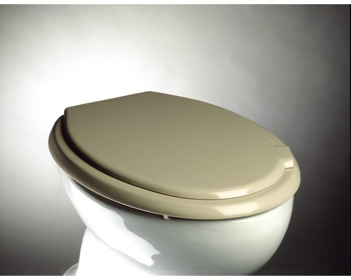 WC-Deckel auf einer Toilette