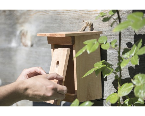 Holz-Fledermauskasten mit Inspektionsklappe an einer Holzwand