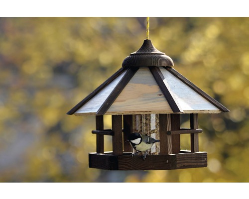 Holzvogelhaus mit Vogel