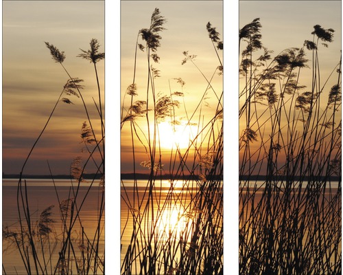 Dreiteiliges Wandbild mit Schilf im Gegenlicht eines Sees bei Sonnenuntergang.