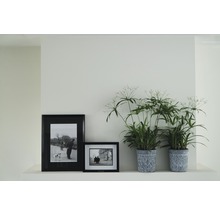 Dekorative Zimmerpflanzen und gerahmte Bilder auf einem Regal