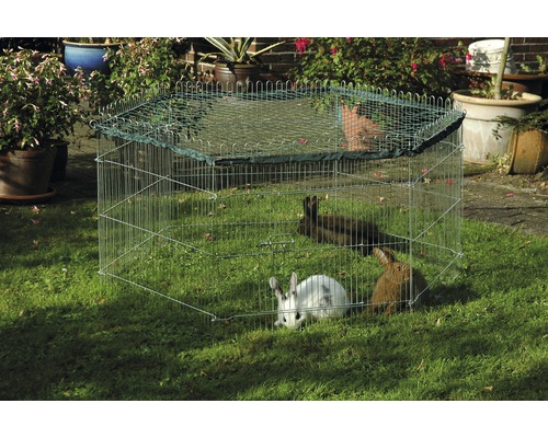 Freilaufgehege mit Netzabdeckung und mehreren Kaninchen im Garten