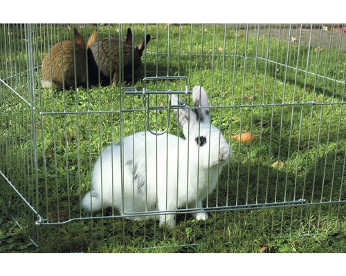 Kaninchen im Metallfreilaufgehege auf Rasen