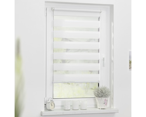 Fenster mit einem weißen Doppelrollo für Sicht- und Sonnenschutz.