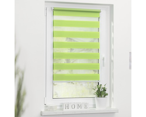 Fenster mit grünem Doppelrollo zur Lichtregulierung