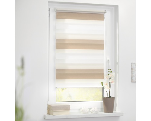 Fenster mit Duo Rollo für Sicht- und Sonnenschutz