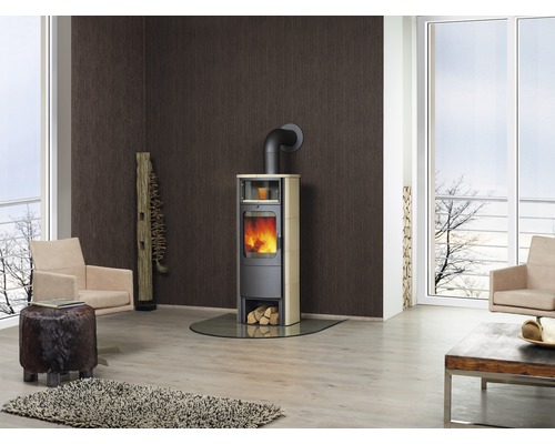 Wohnzimmer mit Kaminofen und Einrichtung im modernen Stil.