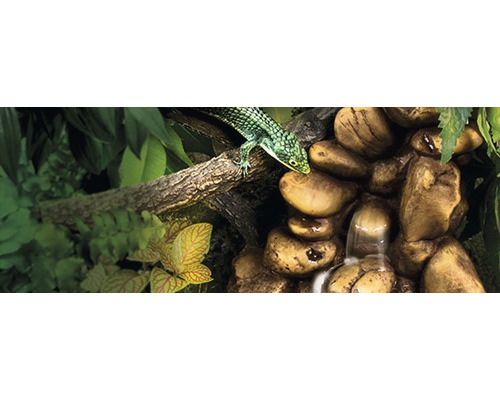 Terrariendekoration mit Felsen, Wasserfall und grüner Echse auf einem Ast.