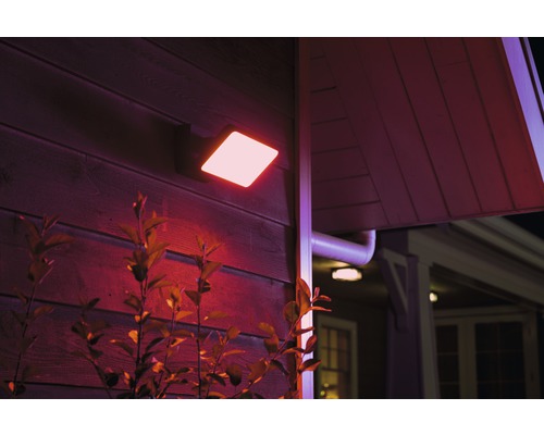 Quadratische LED-Außenwandleuchte am Haus mit Bewuchs