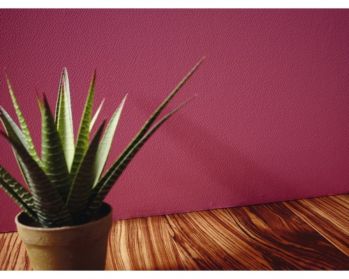 Zimmerpflanze in einem Topf auf einem Holztisch