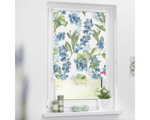 Klemmrollo Lichtblick ohne Bohren Heidelbeere blau 90x150 cm inkl. Klemmträger Rollo mit Blaubeermuster am Fenster