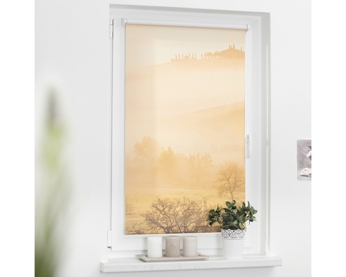Fenster mit Rollo mit Landschaftsmotiv