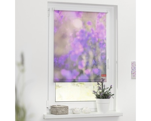 Klemmrollo Lichtblick ohne Bohren Blumenwiese lila 80x150 cm inkl. Klemmträger Fenster mit einem Rollo mit Blumenmuster.