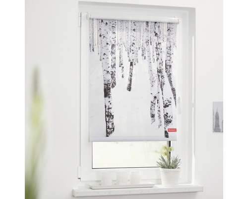 Fenster mit Rollo mit Birkenwald-Motiv für Sonnenschutz und Dekoration