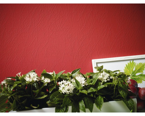 Nahaufnahme einer roten Vliestapete mit Kratzputzstruktur, dekoriert mit einer Topfpflanze und einem Bild