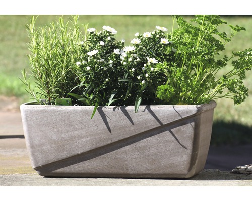 Pflanzkasten aus Beton mit Kräutern und weißen Blüten