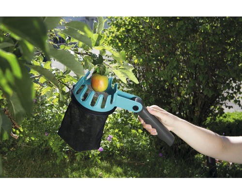 Apfelpflücker im Einsatz mit Apfel am Baum