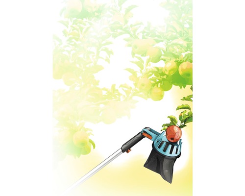 Apfelpflücker im Einsatz unter Apfelbaum