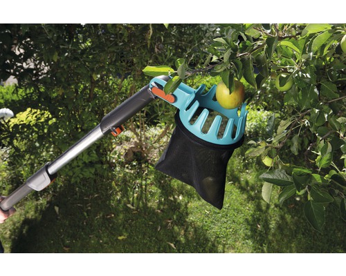 Apfelpflücker am Baum mit Äpfeln