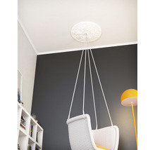 Zimmer mit Stuckrosette an der Decke und Hängesessel