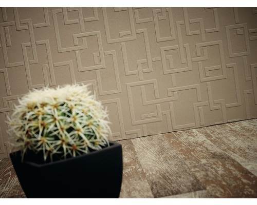 Nahaufnahme einer Wandtapete mit geometrischem Muster und einem Kaktus im Topf auf einem Holzboden