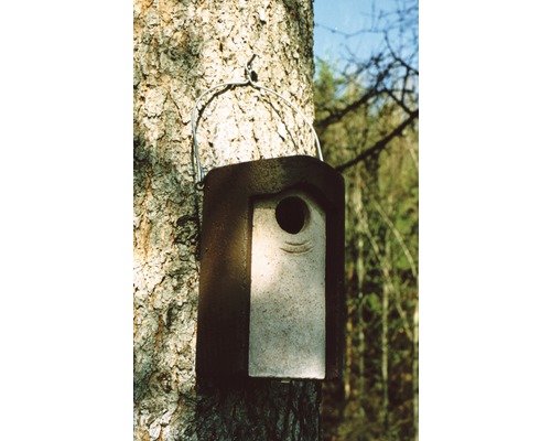 Vogelhaus mit Aufhängung an einem Baum