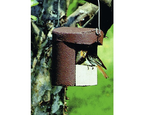 Hängendes Vogelhaus mit Vogel