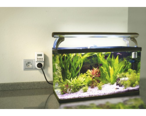 Aquarium mit Zeitschaltuhr zur Beleuchtungssteuerung