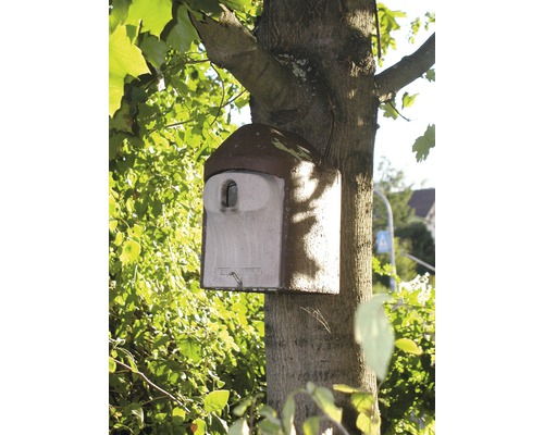 Fledermauskasten an einem Baumstamm befestigt