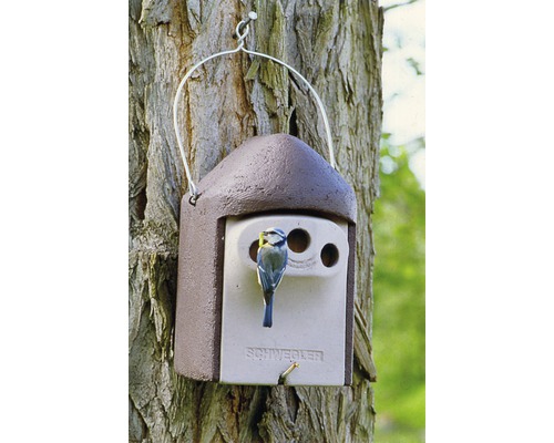 Vogelhaus mit Blaumeise, aufgehängt an einem Baum