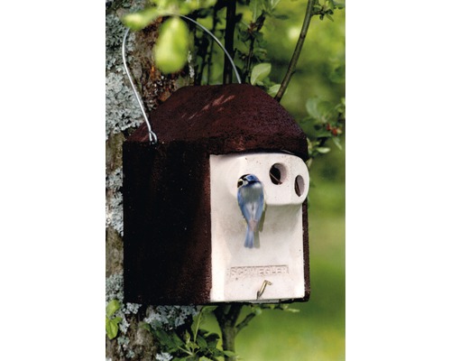 Vogelhaus aus Holzbeton mit Aufhängebügel und Blaumeise
