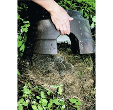 Igelhaus mit Igel unter Aufsicht einer Hand