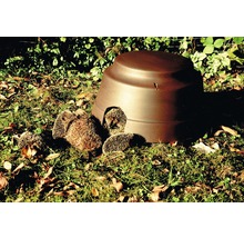 Mehrere Igel vor einem Igelhaus im Garten